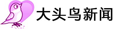 大头鸟新闻网
